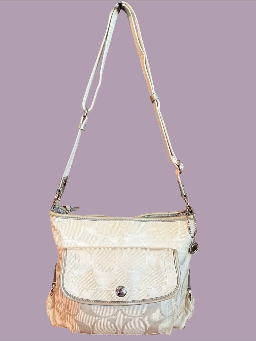 Coach Daisy Tote Bag (Style F19712)